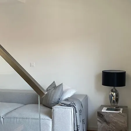 Apartment Parkside Designer Duplex Free Parking Ljubljana